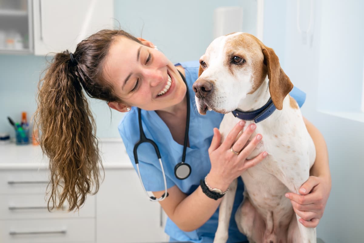 5 Common Hazards Faced By Animal Clinic Workers